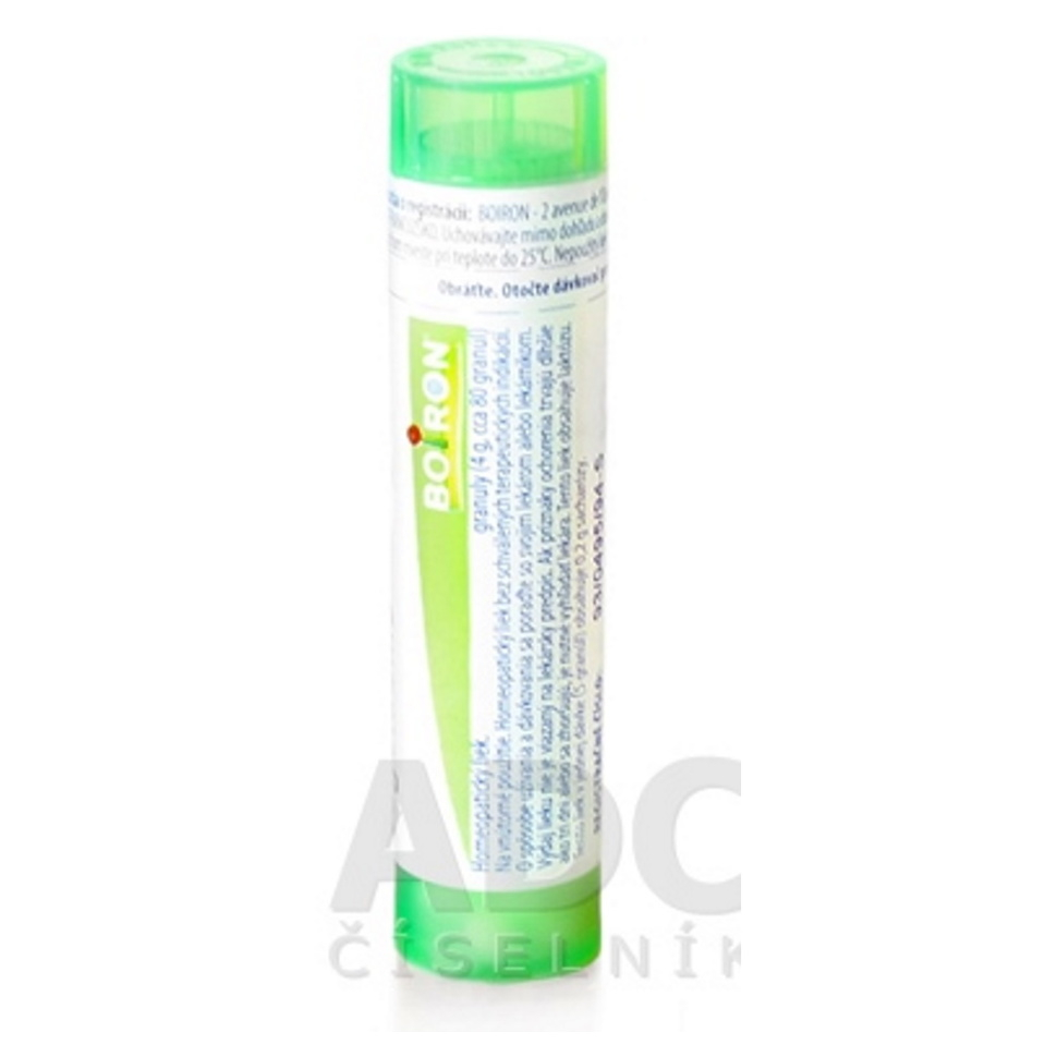 BOIRON Hamamelis virginiana CH5 4 g
