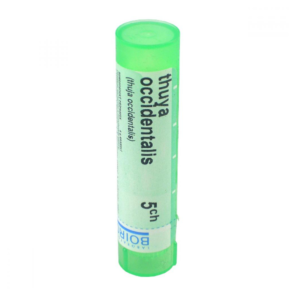 BOIRON Thuya occidentalis CH5 4 g kúpite na Mojalekaren.sk