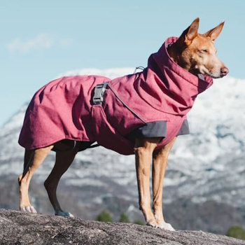 HURTTA Expedition Parka pre psov červená 1 ks, Veľkosť oblečku: 25 (Oblečenie pre psov) - obrázok 2/3