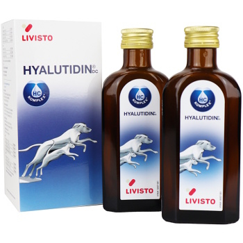 Hyalutidin DC AKTIV pro psy 2x125ml