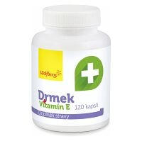 WOLFBERRY Drmek + vitamín E 120 kapsúl