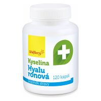 WOLFBERRY Kyselina hyalurónová 120 kapsúl