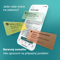 KARDI AI 3-mesačné EKG monitorovanie srdca M-XXL