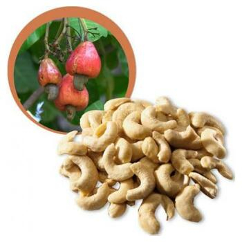 Kešu orechy RAW BIO 100g (Orechy a sušené plody) - BIO, RAW