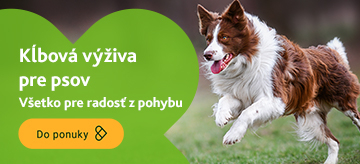 Veterinárne doplnky stravy na kĺby pre psov