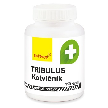 WOLFBERRY Tribulus terrestris kotvičník zemný 120 kapsúl (Potencia, erekcia) - Viaczložkové