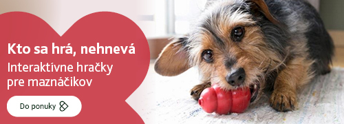 Interaktívne hračky pre miláčikov