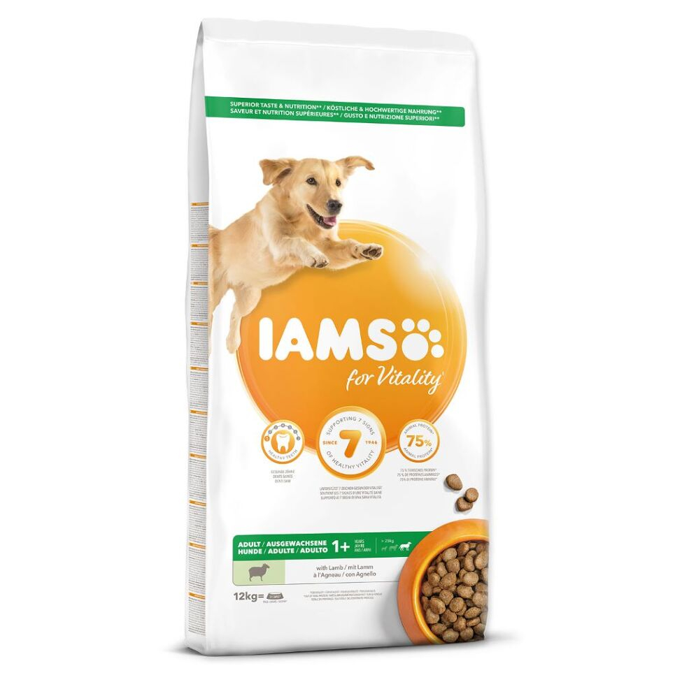 E-shop IAMS Dog Adult Large Lamb granule pre psov 12 kg