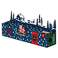 LEROS Čaje pre voňavé Vianoce 3 x 20 sáčkov