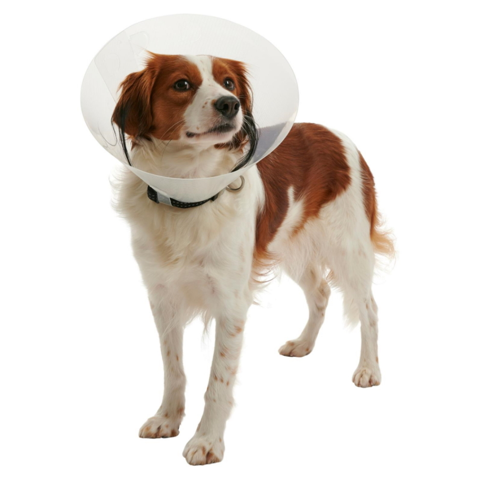 BUSTER Clic Collar plastový ochranný golier 1 ks, Veľkosť: S