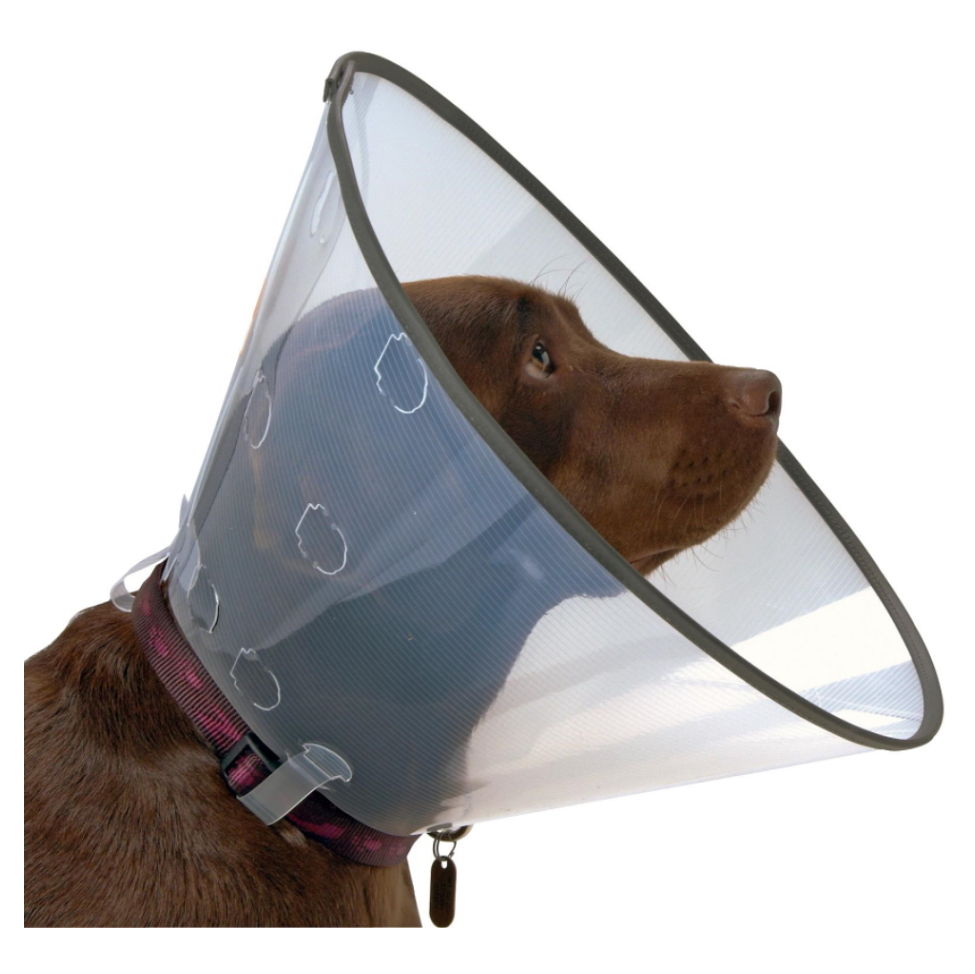 BUSTER Comfort Collar plastový ochranný golier 1 ks, Veľkosť: XS