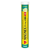 MAGNEX 375 mg + vitamín B6 20 šumivých tabliet