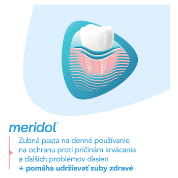 MERIDOL Gum protection zubná pasta na ochranu ďasien 75 ml (Zubné pasty na citlivé zuby a ďasná) - Ochranný, Protizápalový, Antibakteriálne, Klasické - obrázok 2/4
