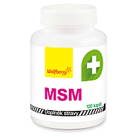 WOLFBERRY MSM 120 kapsúl