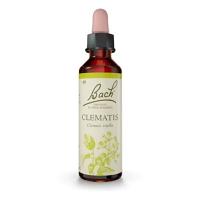 ORIGINAL BACH® Clematis 20 ml