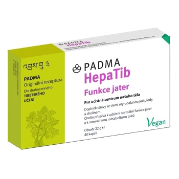 PADMA HepaTib pečeň a metabolizmus s cholínom 40 kapsúl (Na podporu trávenia a vylučovania) - Viaczložkové