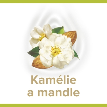 PALMOLIVE Naturals Camellia Oil &amp; Almond sprchový gél 250 ml (Sprchové gély) - obrázok 2/4