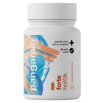 PANGAMIN Forte horčík 90 tabliet (Magnézium (Horčík)) - Jednozložkové