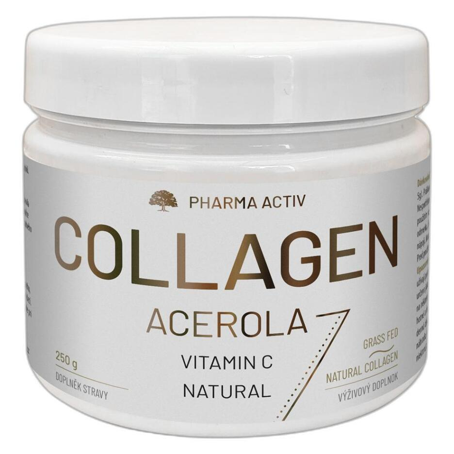 Pharma Activ GRASS Fed Collagen forte Acerola extrakt prášok na prípravu nápoja kĺbová výživa 250 g kúpite na Lekarna.cz