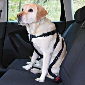 Postroj pes Bezpečnostné do auta L Trixie