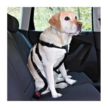 Postroj pes Bezpečnostné do auta XS Trixie