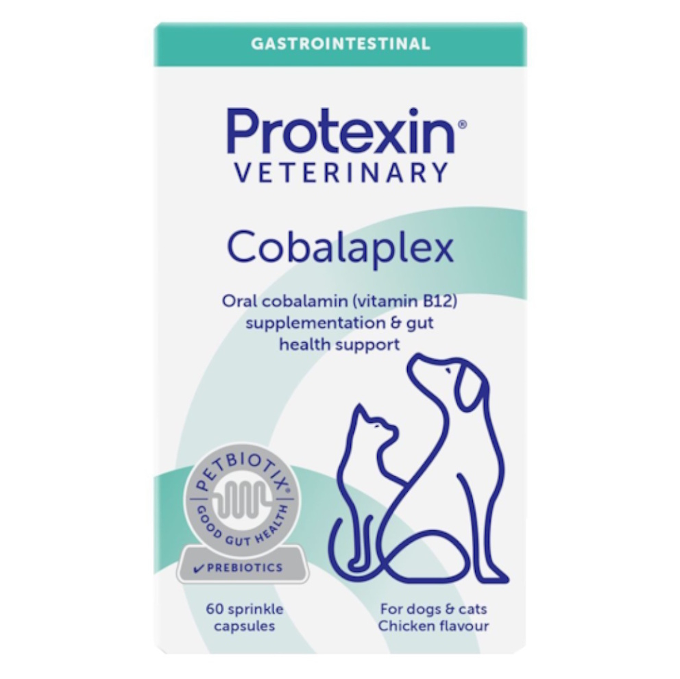 E-shop PROTEXIN Cobalaplex pre psy a mačky 60 kapsúl