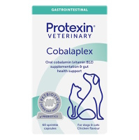 PROTEXIN Cobalaplex pre psy a mačky 60 kapsúl