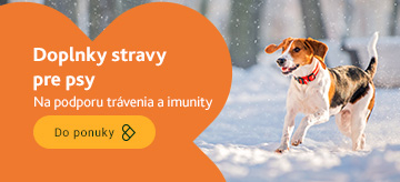 Veterinárne doplnky stravy na trávenie pre psov