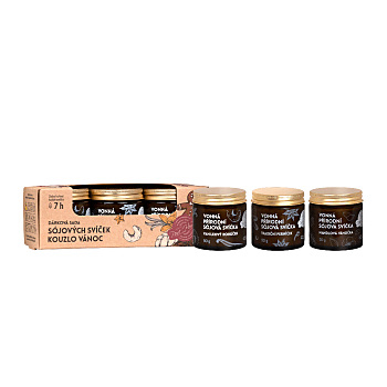 PURE HARMONY Darčeková sada sójových sviečok Kúzlo Vianoc (Kozmetické balíčky)