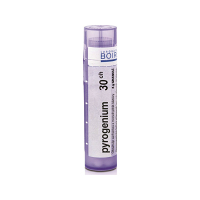 BOIRON Pyrogenium CH30 4 g
