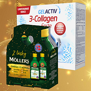 Vianočná ponuka Salutem