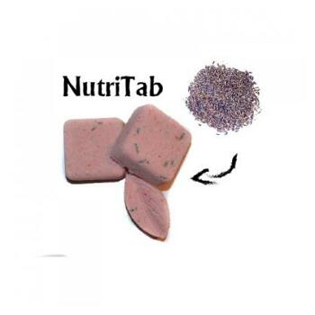 SOAPHORIA NutriTab naparovacia tabletka 2x15 g