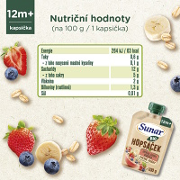 SUNAR Ovocné vrecko hopsáčik jahoda, banán, čučoriedka a ovsené vločky BIO 100 g