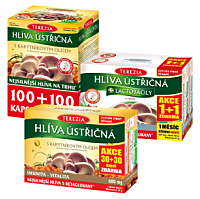 TEREZIA Hliva a Reishi špeciál