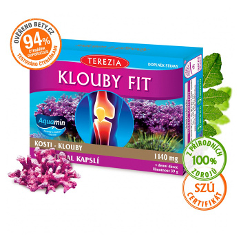 TEREZIA Kĺby Fit 60 kapsúl (Kĺby) - Prírodné, Viaczložkové - obrázok 2/2