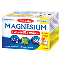 TEREZIA Magnesium + vitamín B6 a medovka 30 kapsúl + DARČEK Vitamín D3 1000 IU 30 kapsúl