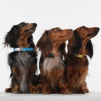 TICKLESS Mini dog nabíjací ultrazvukový odpudzovač kliešťov a bĺch čierna (Ultrazvukový odpudzovač kliešťov a bĺch) - obrázok 3/4