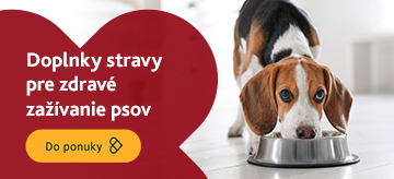 Veterinárne doplnky stravy na trávenie pre psov