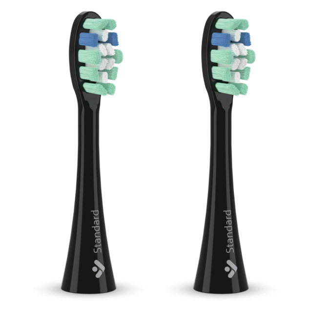 TRUELIFE SonicBrush Clean náhradná hlavica štandard čierna 2 kusy