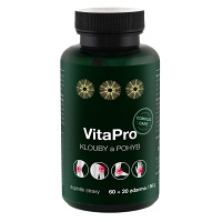 BIOVITA VitaPro kĺby a pohyb 60 + 20 kapsúl
