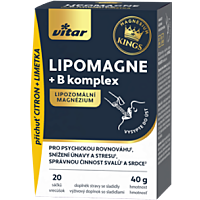 VITAR Lipomagne +B komplex 20 x 2 g
