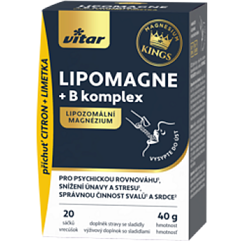 VITAR Lipomagne +B komplex 20 x 2 g (Na energi, pri únave) - Viaczložkové