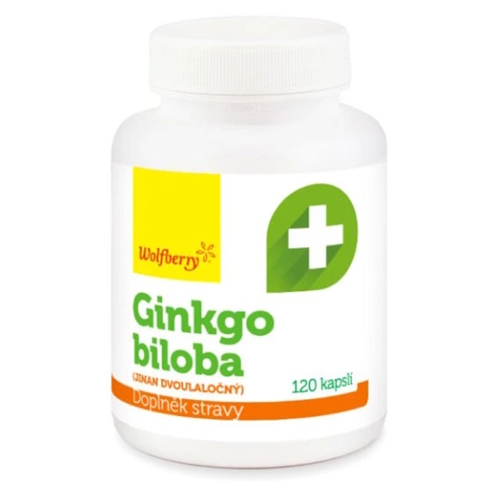 WOLFBERRY Ginkgo biloba 120 kapsúl