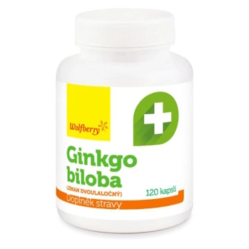 WOLFBERRY Ginkgo biloba 120 kapsúl (Doplnky stravy na pamäť) - Jednozložkové