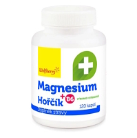 WOLFBERRY Magnesium + B6 120 kapsúl