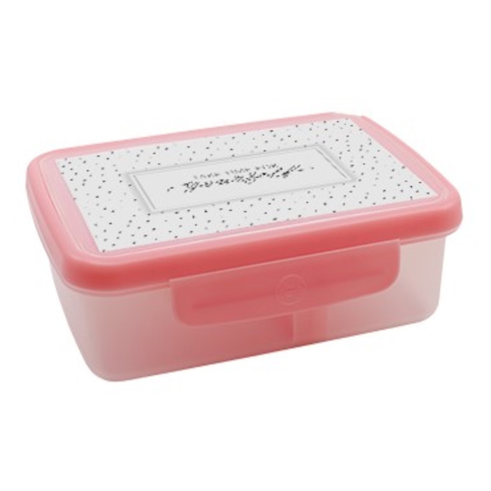 E-shop ZDRAVÁ SVÁČA Scandi 700 box ružová 900 ml